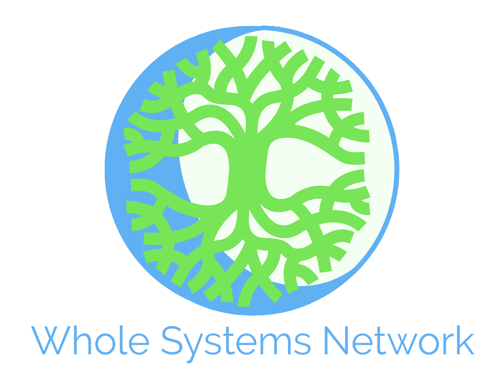 Whole Systems Network